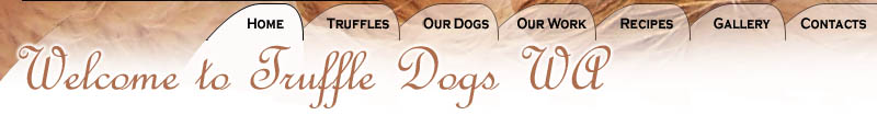 Welcome to Truffle Dogs WA